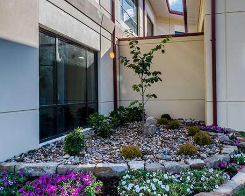 Exterior photo of landscaping in a corner of the building